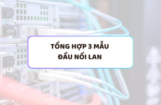 Tổng hợp 3 mẫu đầu nối LAN giá tốt , chính hãng 2025