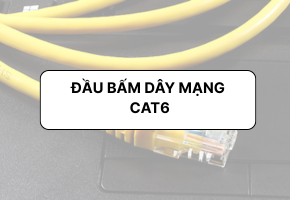 Tổng hợp 7 loại đầu bấm RJ45 CAT6 giá tốt , chính hãng